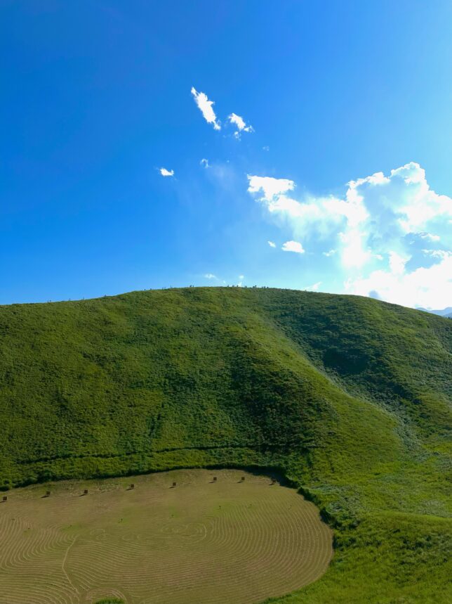 【大型連休】